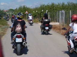 XVIII Concentracion - 2011